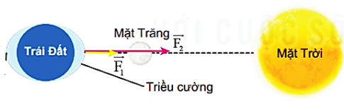 Câu hỏi khởi động