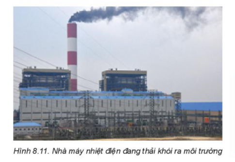 Câu hỏi khởi động