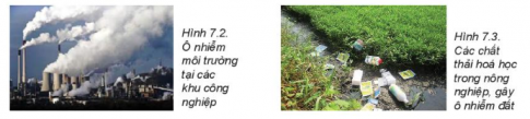Câu hỏi khởi động