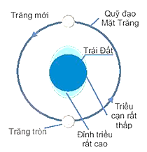 Câu hỏi khởi động