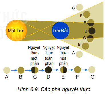 Câu hỏi khởi động
