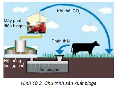 Câu hỏi khởi động