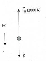 kenhhoctap