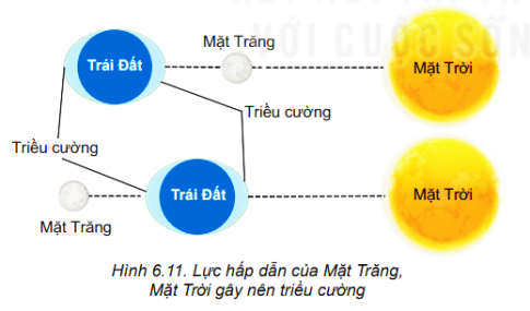 Câu hỏi khởi động