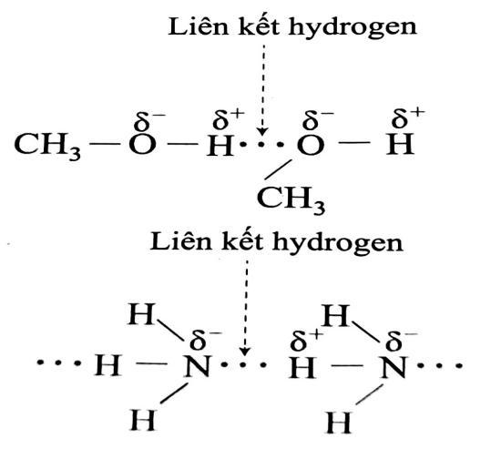 kenhhoctap