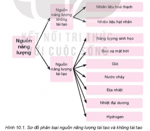 Câu hỏi khởi động