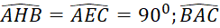 kenhhoctap