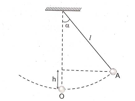 kenhhoctap