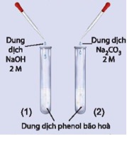kenhhoctap