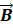 kenhhoctap