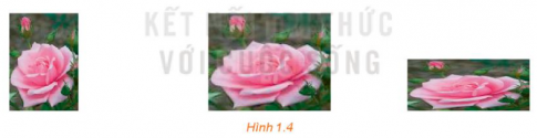 1. PHÉP BIẾN HÌNH