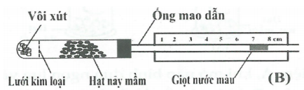 BÀI 25: HÔ HẤP TẾ BÀO