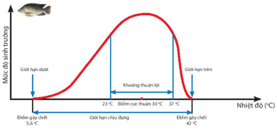 BÀI 37: ỨNG DỤNG SINH TRƯỞNG VÀ PHÁT TRIỂN Ở SINH VẬT VÀO THỰC TIỄN