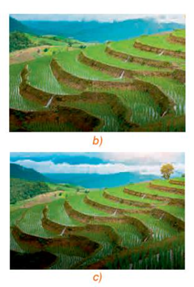 1. PHÉP VỊ TỰ