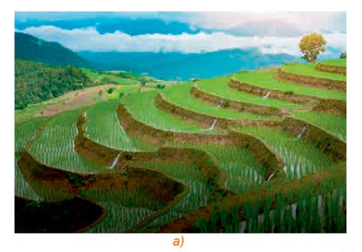 1. PHÉP VỊ TỰ