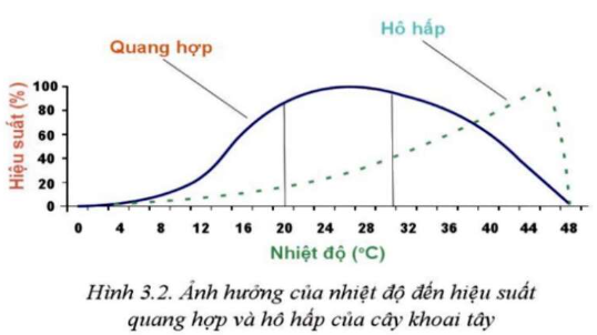 BÀI 26: MỘT SỐ YẾU TỐ ẢNH HƯỞNG ĐẾN HÔ HẤP