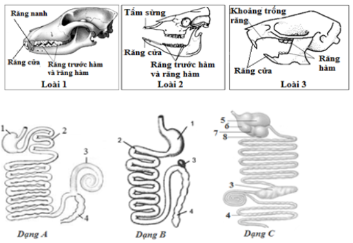 BÀI 31: TRAO ĐỔI NƯỚC VÀ CHẤT DINH DƯỠNG Ở ĐỘNG VẬT