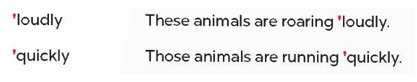 UNIT 19: THE ANIMAL WORLD