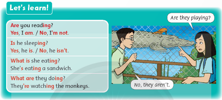 UNIT 6: Funny monkeys!