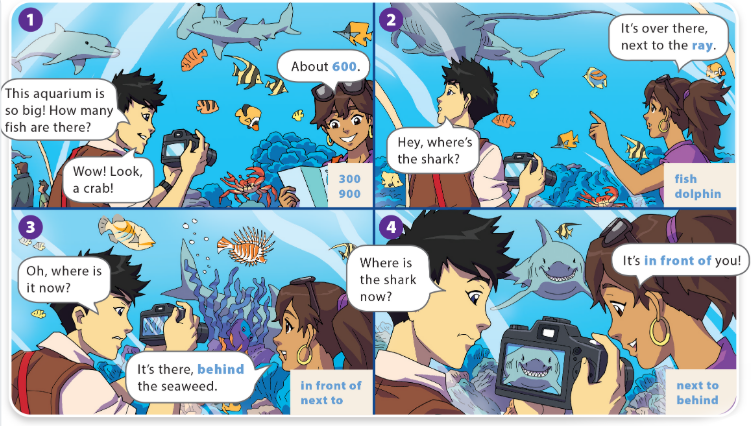 UNIT 3: WHERE’S THE SHARK?