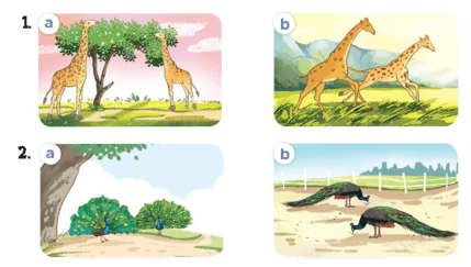 UNIT 19: THE ANIMAL WORLD