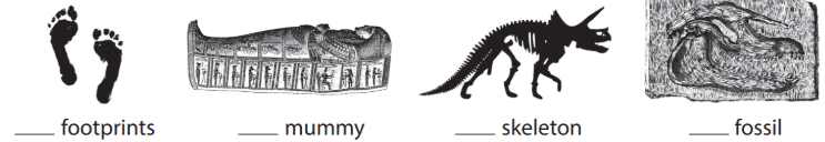UNIT 10: THEY’VE FOUND A FOSSIL