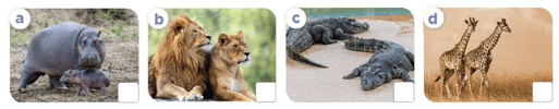 UNIT 19: THE ANIMAL WORLD