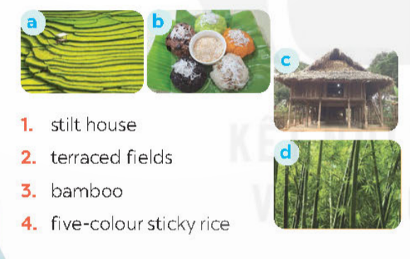 UNIT 4: ETHNIC GROUPS OF VIETNAM