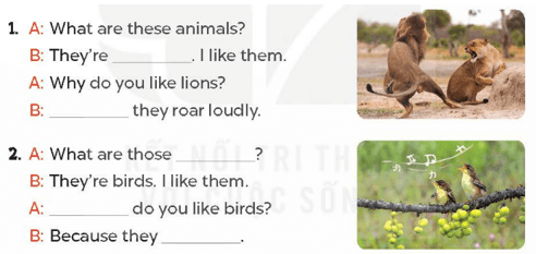 UNIT 19: THE ANIMAL WORLD