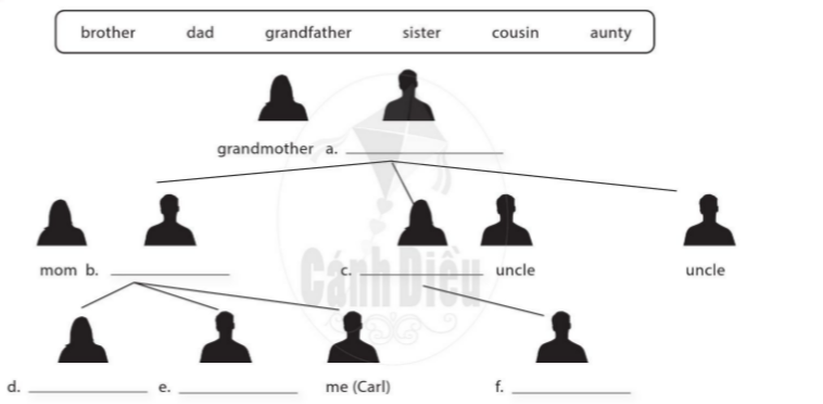 UNIT 4: THIS IS MY FAMILY