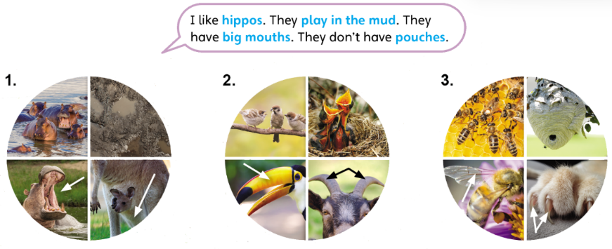 LESSON 1