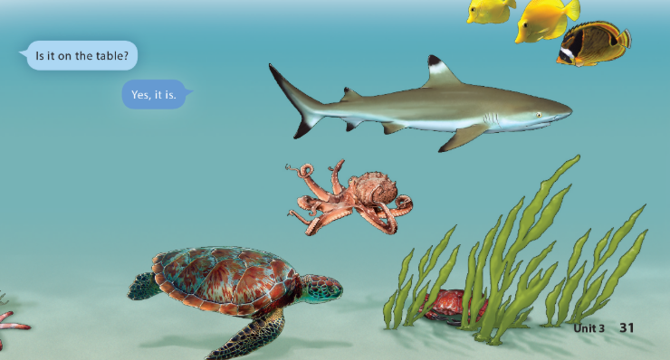UNIT 3: WHERE’S THE SHARK?