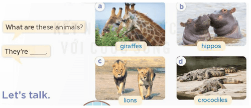 UNIT 19: THE ANIMAL WORLD