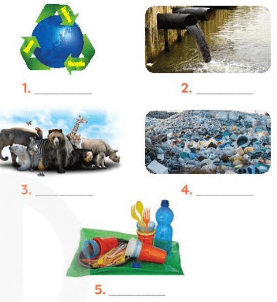 UNIT 7: ENVIRONMENTAL PROTECTION