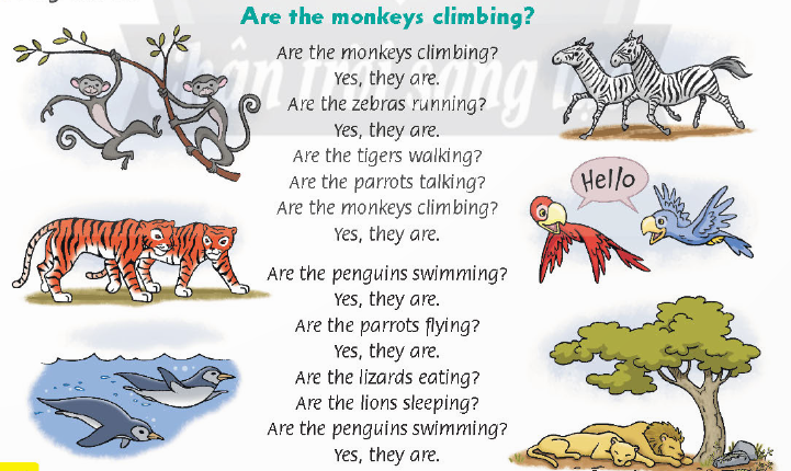 UNIT 6: Funny monkeys!