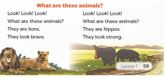 UNIT 19: THE ANIMAL WORLD