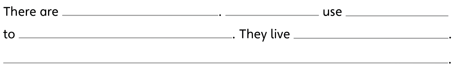 LESSON 1