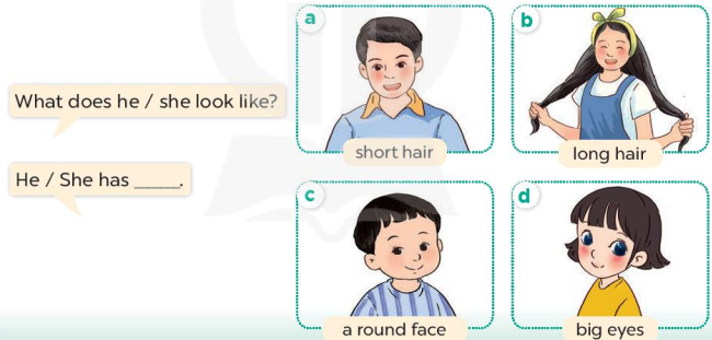 UNIT 13: APPEARANCE