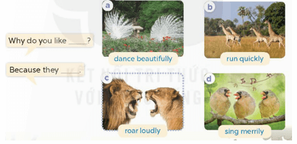 UNIT 19: THE ANIMAL WORLD