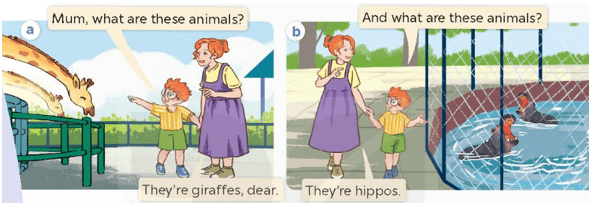 UNIT 19: THE ANIMAL WORLD
