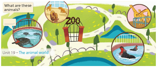 UNIT 19: THE ANIMAL WORLD