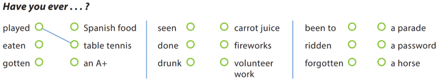 UNIT 8: HAVE YO EVER BEEN TO A FESTIVAL?