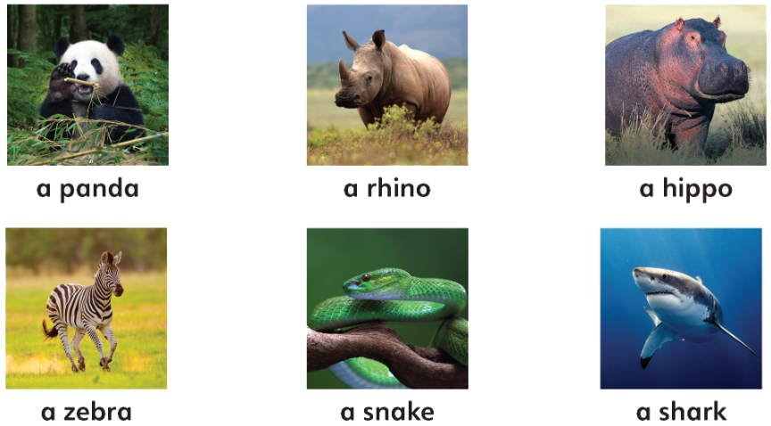 Lesson 1