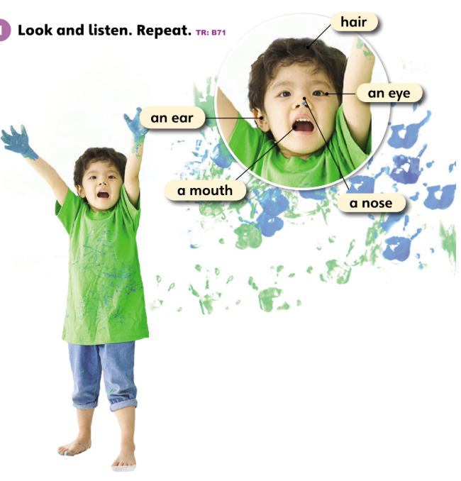 1. Look and listen. Repeat