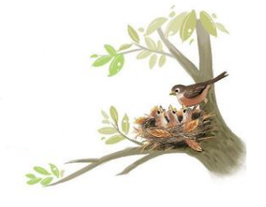 Tiết 2 – Hoạt động giáo dục: Nhà là tổ ấm