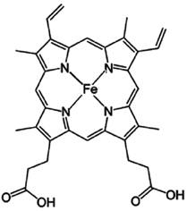 BÀI 21. SƠ LƯỢC VỀ PHỨC CHẤT