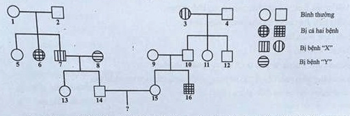 BÀI 13. DI TRUYỀN NGƯỜI VÀ DI TRUYỀN Y HỌC