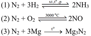 BÀI 4. NITROGEN