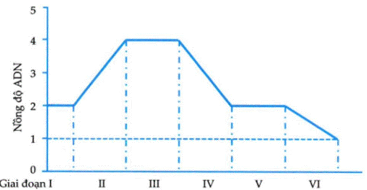 BÀI 43. DI TRUYỀN NHIỄM SẮC THỂ