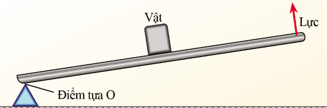 BÀI 19: ĐÒN BẨY